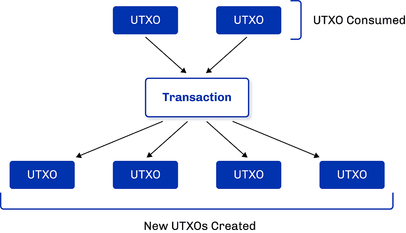 UTXO vs eUTXO | Waffle Capital Ltd